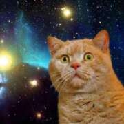 ヒメ日記 2026/03/07 13:00 投稿 ゆい ちゃんこ大阪伊丹空港豊中店