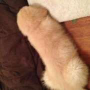 ヒメ日記 2026/04/10 14:47 投稿 ゆい ちゃんこ大阪伊丹空港豊中店