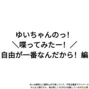 ヒメ日記 2026/08/05 11:16 投稿 ゆい ちゃんこ大阪伊丹空港豊中店