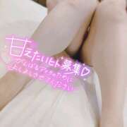 ヒメ日記 2026/08/17 00:25 投稿 ゆい ちゃんこ大阪伊丹空港豊中店