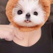 ヒメ日記 2026/03/31 18:08 投稿 あいみ わちゃわちゃ密着リアルフルーちゅ西船橋