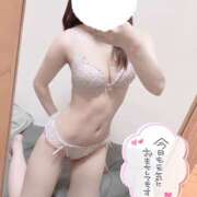 ヒメ日記 2026/02/26 06:01 投稿 ナコ アリスマリオン