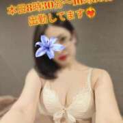 ヒメ日記 2026/03/18 09:20 投稿 夏木　ゆり 響-HIBIKI-