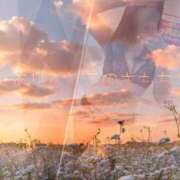 ヒメ日記 2026/03/07 16:56 投稿 冬月　まりえ ドMな奥様 すすきの店