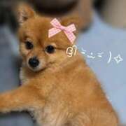 もね 明日も1日頑張ろ〜✊🏻 ハピネス東京 吉原店