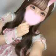 ヒメ日記 2026/02/19 22:53 投稿 ことり★奇跡の激カワ現役JD S級素人清楚系デリヘル chloe