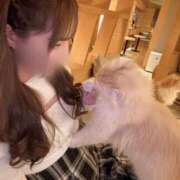 ヒメ日記 2026/02/02 19:30 投稿 ことり★奇跡の激カワ現役JD Chloe五反田本店　S級素人清楚系デリヘル