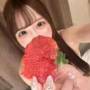 ヒメ日記 2026/02/07 23:29 投稿 ことり★奇跡の激カワ現役JD Chloe五反田本店　S級素人清楚系デリヘル