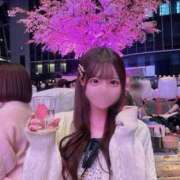 ヒメ日記 2026/04/30 17:13 投稿 ことり★奇跡の激カワ現役JD Chloe五反田本店　S級素人清楚系デリヘル