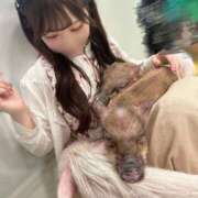 ヒメ日記 2026/05/23 13:49 投稿 ことり★奇跡の激カワ現役JD Chloe五反田本店　S級素人清楚系デリヘル