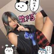 ヒメ日記 2026/03/05 16:56 投稿 ききょう イクイクサークル鶯谷店