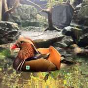 ヒメ日記 2026/02/28 20:56 投稿 ゆず 奥様さくら日本橋店