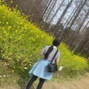 ヒメ日記 2026/04/01 11:53 投稿 ゆず club さくら日本橋店