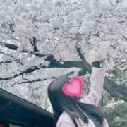 ヒメ日記 2026/03/24 12:32 投稿 かすみ 渋谷角海老