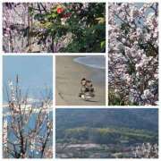 ヒメ日記 2026/03/24 11:32 投稿 瀬崎貴美子 五十路マダム愛されたい熟女たち 福山店(カサブランカグループ)