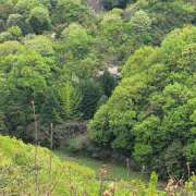 ヒメ日記 2026/04/14 14:50 投稿 瀬崎貴美子 五十路マダム愛されたい熟女たち 福山店(カサブランカグループ)