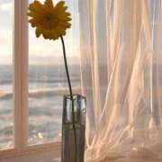 ヒメ日記 2026/02/26 16:05 投稿 まほ 横浜おかあさん