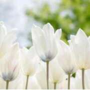 ヒメ日記 2026/02/28 08:29 投稿 まほ 横浜おかあさん