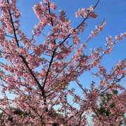 ヒメ日記 2026/03/04 19:05 投稿 まほ 横浜おかあさん