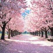 まほ おはようございます☀️ 横浜おかあさん