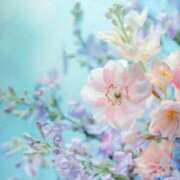 ヒメ日記 2026/04/03 08:25 投稿 まほ 横浜おかあさん