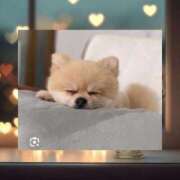 ヒメ日記 2026/04/12 00:05 投稿 まほ 横浜おかあさん