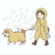 ヒメ日記 2026/06/29 07:05 投稿 まほ 横浜おかあさん