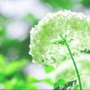ヒメ日記 2026/07/05 16:55 投稿 まほ 横浜おかあさん