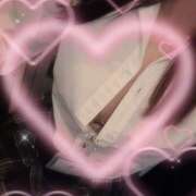 ヒメ日記 2026/03/11 18:31 投稿 おと みつばちマーヤZ