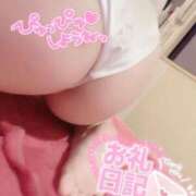 ヒメ日記 2026/03/03 16:48 投稿 ひまり 激安ソープの殿堂　ボイン・ホーテ