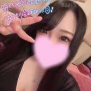 ヒメ日記 2026/04/23 18:31 投稿 ひまり 激安ソープの殿堂　ボイン・ホーテ