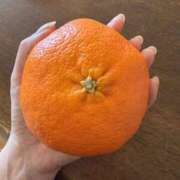 ヒメ日記 2026/02/26 23:34 投稿 もね VIVIDCREW 梅田堂山店