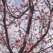 ヒメ日記 2026/02/07 08:40 投稿 みく 【オナクラ】HAND MAID（ハンドメイド） 梅田店