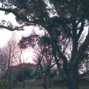 ヒメ日記 2026/02/09 17:15 投稿 みく 【オナクラ】HAND MAID（ハンドメイド） 梅田店