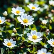 ヒメ日記 2026/02/27 12:09 投稿 みく 【オナクラ】HAND MAID（ハンドメイド） 梅田店