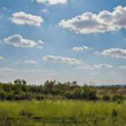 ヒメ日記 2026/03/07 11:50 投稿 みく 【オナクラ】HAND MAID（ハンドメイド） 梅田店