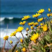 ヒメ日記 2026/03/07 16:10 投稿 みく 【オナクラ】HAND MAID（ハンドメイド） 梅田店