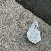 ヒメ日記 2026/04/19 20:46 投稿 白井ゆき ウルトラブレイズ