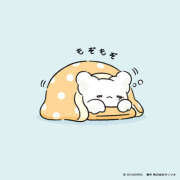 ヒメ日記 2026/02/12 16:30 投稿 りほ 美女物語