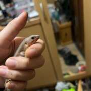 ヒメ日記 2026/03/18 19:08 投稿 みな オースリー