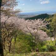 ヒメ日記 2026/04/11 19:24 投稿 みな オースリー