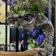 ヒメ日記 2026/02/09 22:01 投稿 一ノ瀬　れいら 30・40・50代☆人妻熟女コレクション