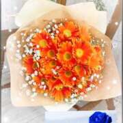 ヒメ日記 2026/03/08 07:41 投稿 一ノ瀬　れいら 30・40・50代☆人妻熟女コレクション