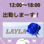 ヒメ日記 2026/03/14 08:30 投稿 一ノ瀬　れいら 30・40・50代☆人妻熟女コレクション
