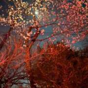 ヒメ日記 2026/04/04 09:19 投稿 一ノ瀬　れいら 30・40・50代☆人妻熟女コレクション