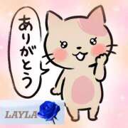 ヒメ日記 2026/04/11 18:03 投稿 一ノ瀬　れいら 30・40・50代☆人妻熟女コレクション