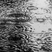 ヒメ日記 2026/02/25 10:47 投稿 なぎさ 川越おかあさん