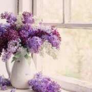 ヒメ日記 2026/04/29 09:56 投稿 なぎさ 大宮おかあさん