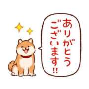 ヒメ日記 2026/04/30 21:11 投稿 のぞみ サンクチュアリ(上野)