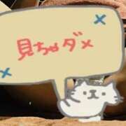 ヒメ日記 2026/07/16 20:16 投稿 のぞみ サンクチュアリ(上野)